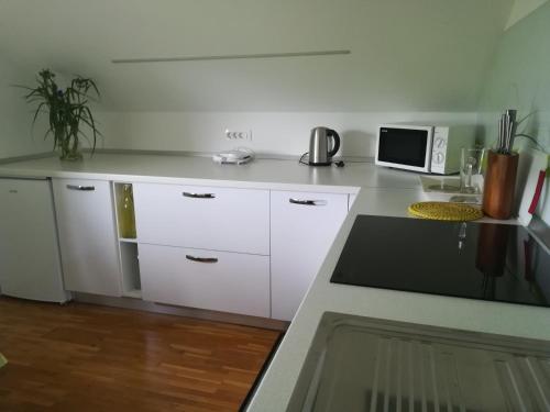 Η κουζίνα ή μικρή κουζίνα στο Apartment Countryside Kolpa-Bela krajina