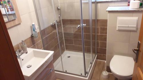 La salle de bains est pourvue d'une douche, de toilettes et d'un lavabo. dans l'établissement Weekend House Petar, à Lusnić