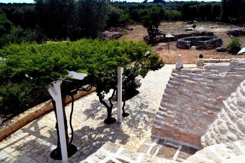 a tree sitting on top of a stone staircase at Dimore Storiche - Ulivo di Aldo in Martina Franca