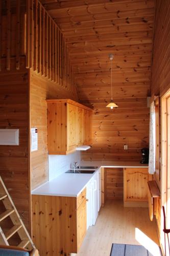 Dapur atau dapur kecil di Camp Åpta