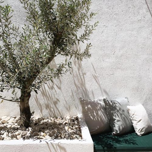 a tree sitting on a bench next to a wall at Dracos Hotel in Parga
