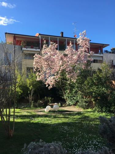 un edificio con un árbol con flores rosas delante en Via Mazzini, en Bazzano