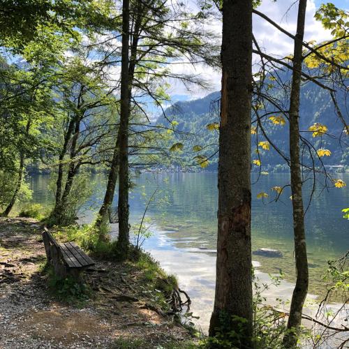 a bench sitting next to a body of water at Landhaus Lilly in Obertraun