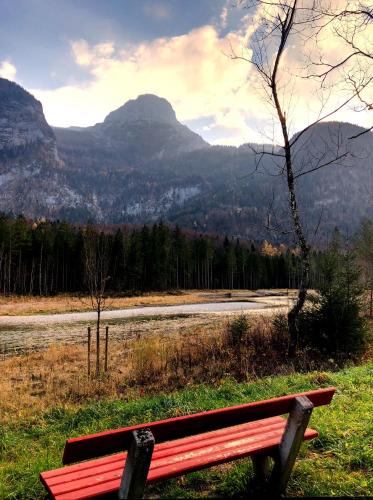 a red bench in a field with mountains in the background at Landhaus Lilly in Obertraun
