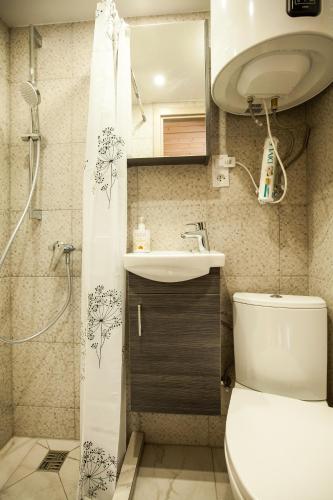 a bathroom with a toilet and a sink and a shower at Skruzdynes 11 in Nida