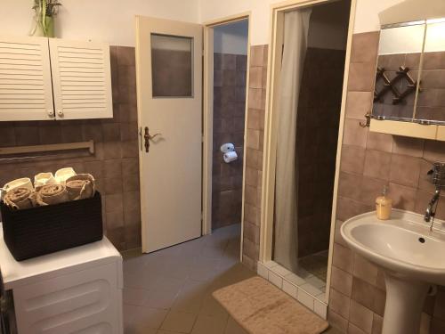 ein Bad mit einer Dusche, einem Waschbecken und einem WC in der Unterkunft Penzion Tereza in Kraslice