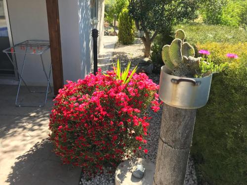 a garden with pink flowers and a cactus at SOFROS VALLEY HILLS CHALET in Ayios Mamas