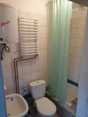 a bathroom with a toilet and a sink and a shower at U Władzia in Gowidlino