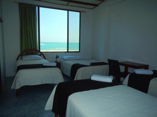Příroda nedaleko hotelu