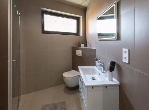 a bathroom with a sink and a toilet and a window at Nerudovka apartment in Karlovy Vary