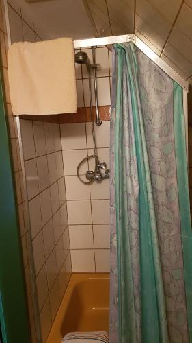baño con cortina de ducha verde y bañera en Hausnordlicht Dachspitze 2, en Dornumergrode