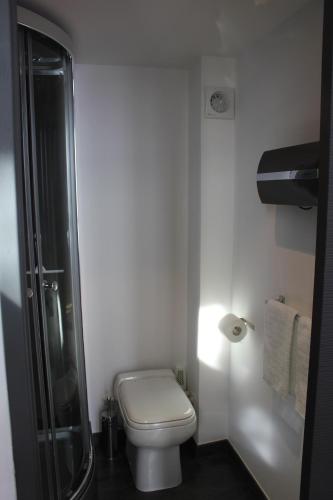 La petite salle de bains est pourvue d'une douche et de toilettes. dans l'établissement Les Cariatides, à Lille