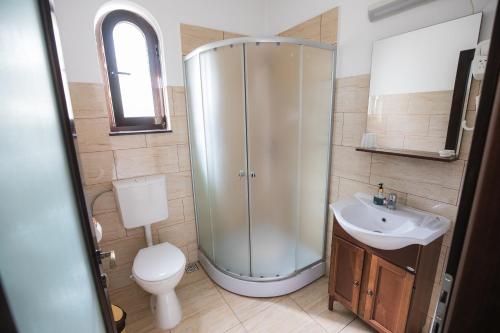舒加格鄉的住宿－Vatra Dacilor Transalpina，带淋浴、卫生间和盥洗盆的浴室