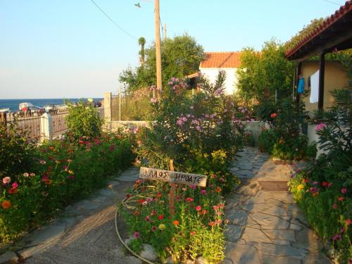 O grădină în afara Athina Apartments