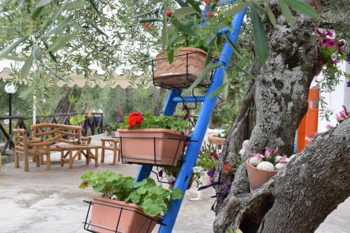 a blue ladder with flower pots in a tree at Village Valle D'Oro ApartHotel in San Menaio