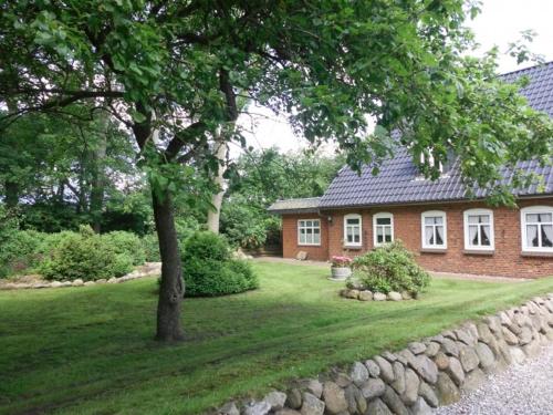 a brick house with a tree in front of it at Hof Glücksburg in Dörpum