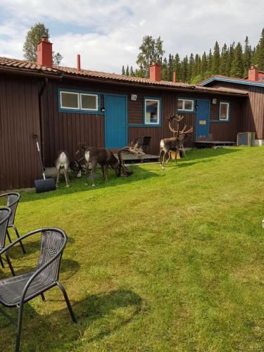 Fotografie z fotogalerie ubytování Bydalens Fjällby v destinaci Hallen