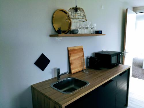 a kitchen counter with a sink and a microwave at Marina Strand Appartement Lemmer in Lemmer