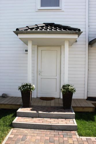 a front door of a house with two potted plants at Sandburg in Olpenitz