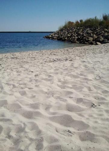 a sandy beach with footprints in the sand and water at Sandburg in Olpenitz