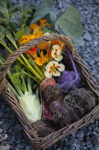 ein Korb gefüllt mit Blumen und Gemüse auf dem Boden in der Unterkunft Kilmokea Garden Suite in New Ross