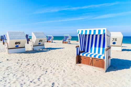 a row of beach chairs sitting on the beach at Ferienhaus Lemafri Duhnen in Cuxhaven