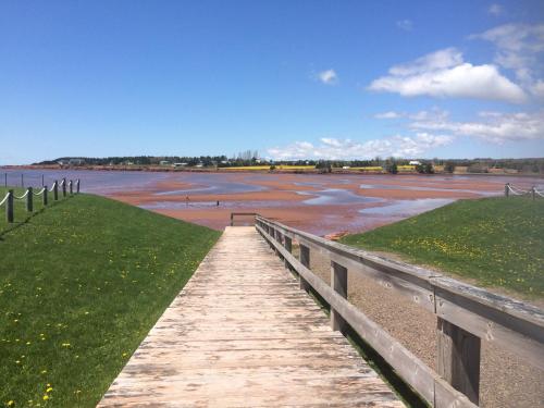 a wooden boardwalk leading down to a body of water at Sundance Cottages in Cavendish