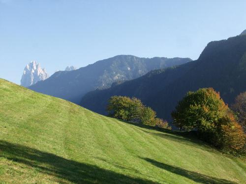 a grassy hill with trees and mountains in the background at Appartment Kirch Neuhaus in Laion
