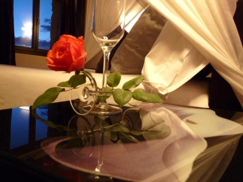 a flower in a vase on a table with a wine glass at Eco Hotel Boutique & Spa Capitulo Trece - Adults Only in Maderuelo