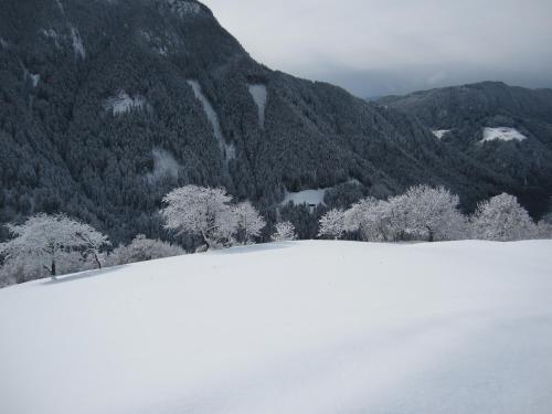 a snow covered hill with trees and mountains in the background at Appartment Kirch Neuhaus in Laion