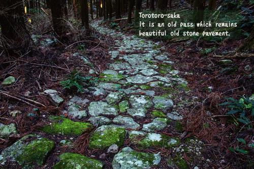 a stone path in the middle of a forest at Mikan Hotel in Uwano