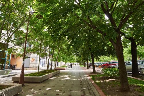 a tree lined street in a city with cars parked at AT Central Apartments in Bucharest