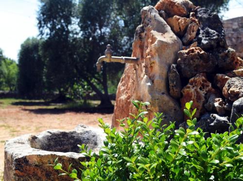 a rock with a water faucet on top of it at Dimore Storiche - Ulivo di Aldo in Martina Franca