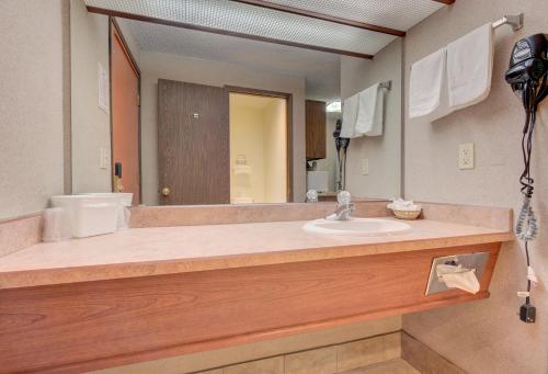 Koupelna v ubytování Redmond Inn