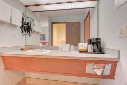 雷德蒙的住宿－雷德蒙德酒店，浴室的柜台设有水槽和镜子