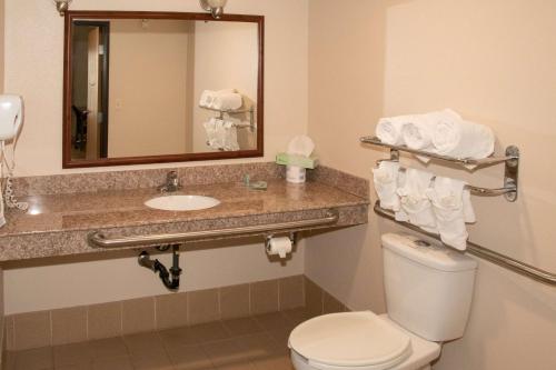 a bathroom with a toilet and a sink and a mirror at Best Western I-5 Inn & Suites in Lodi