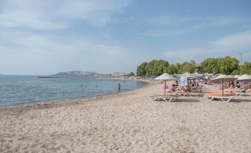 a beach with people sitting on chairs and umbrellas at 9Bodrum Hotel in Turgutreis