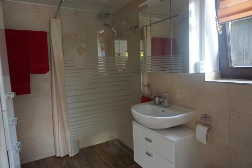 a bathroom with a sink and a shower at FerienhausTeube in Kurort Gohrisch