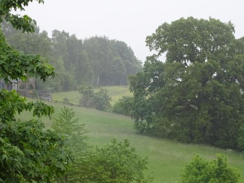 a grassy field with trees in the background at Monteurwohnung in Warstein in Warstein