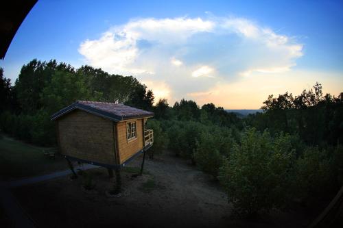 a small building in the middle of a forest at Ecolodge Langhe in Cherasco