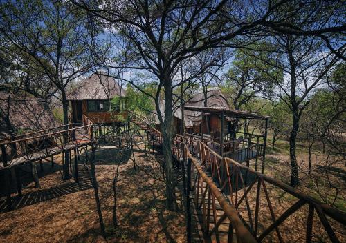 a playground with a house in the woods at Pezulu Tree House Lodge in Hoedspruit