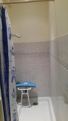 La salle de bains est pourvue d'une douche avec un siège bleu. dans l'établissement Appartement indépendant, à Bastia