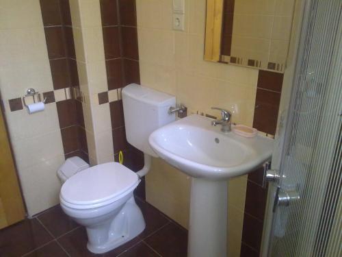a bathroom with a toilet and a sink at Casa Dancs in Covasna