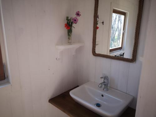 a bathroom sink with a mirror and a vase of flowers at Moledos glamping in Aljezur