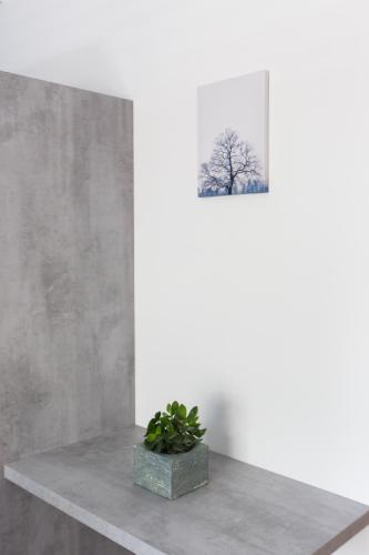 Fotografie z fotogalerie ubytování 12 Reasons Why Metaxourgeio v Aténách