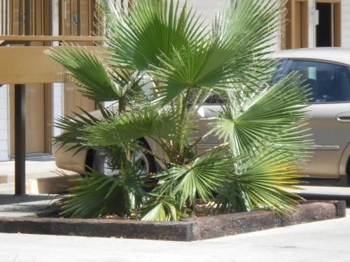 Glennville Inn – Photos 2