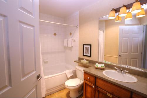 蒙特朗布朗的住宿－聖伯納德特拉姆布朗特山酒店，浴室配有盥洗盆、卫生间和浴缸。