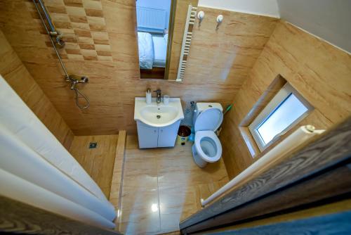 カリマネシュティにあるCasa Anaのバスルーム(トイレ、洗面台付)のオーバーヘッドビュー