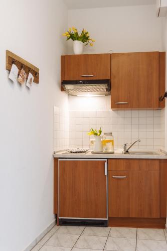 a kitchen with wooden cabinets and a sink at Apartmenthaus Kaiser Friedrich in Potsdam