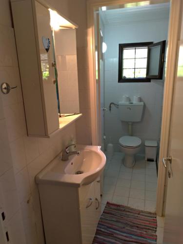 een badkamer met een wastafel en een toilet bij Persefoni house in Afissos